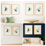 Coffret créatif Tropical Birds