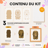 Fiche contenu du kit créatif Lion Panash Art avec 3 pochoirs superposables réutilisables en PET, toile A4 incluse et résultat final encadré, alternative à la peinture au numéro.